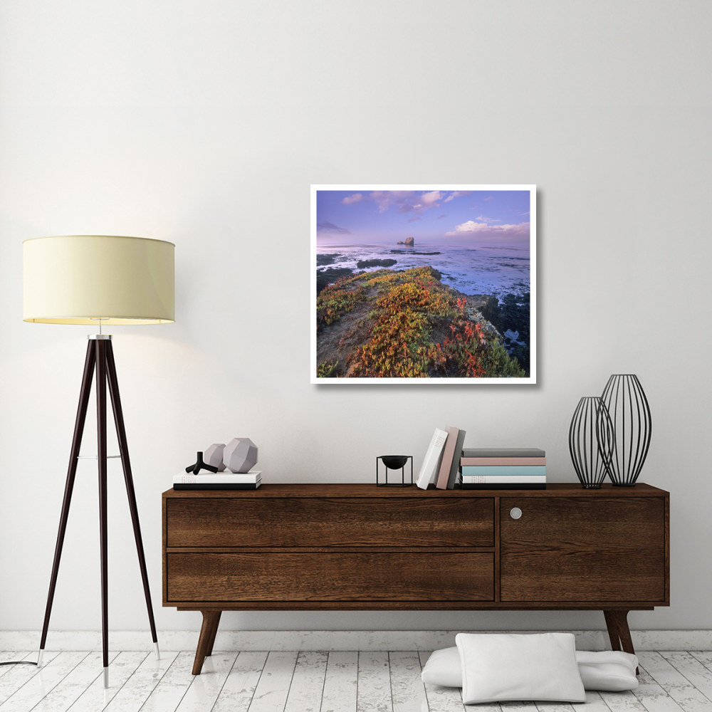 Iceplant covering coastal rocks, Point Piedras Blancas, California-Paper Art-38&quotx33.68"
