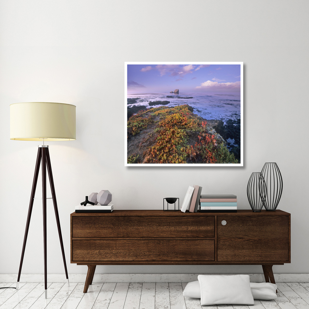 Iceplant covering coastal rocks, Point Piedras Blancas, California-Paper Art-46&quotx40.72"