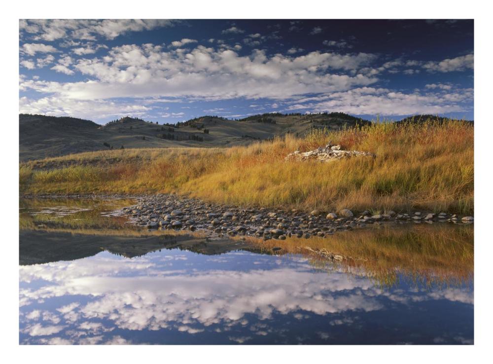 Absaroka Range and Slough Creek, Yellowstone National Park, Wyoming-Paper Art-26"x20"