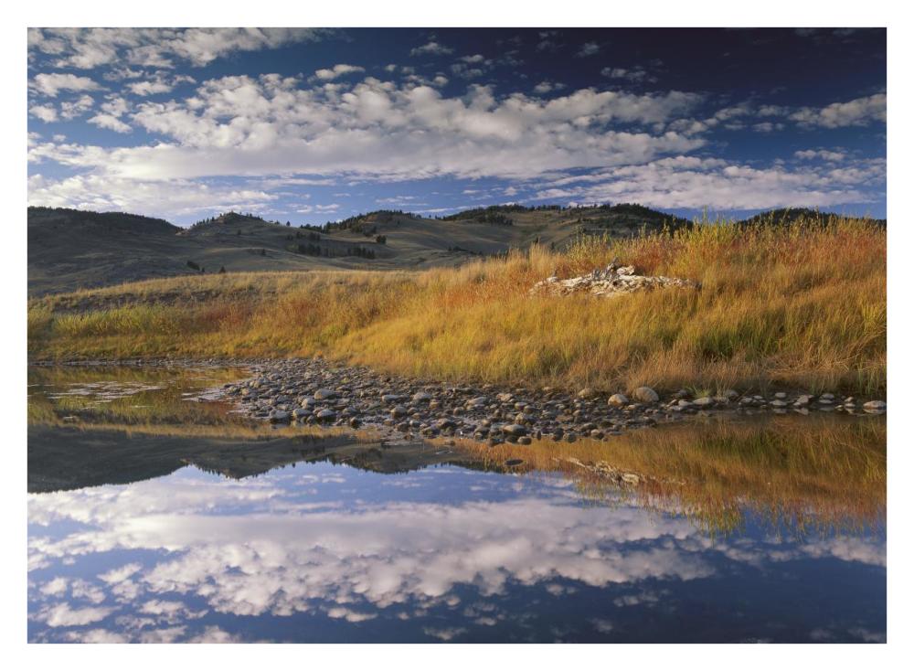 Absaroka Range and Slough Creek, Yellowstone National Park, Wyoming-Paper Art-34"x26"
