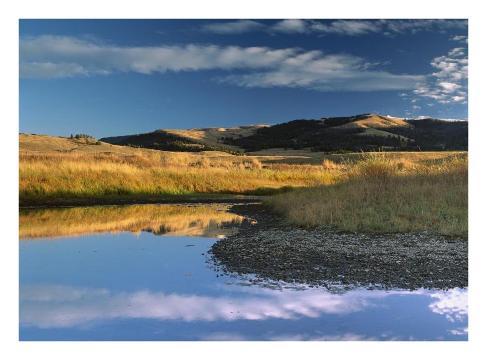 Absaroka Range and Slough Creek, Yellowstone National Park, Wyoming-Paper Art-26"x20"