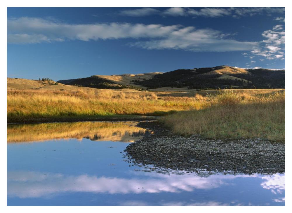 Absaroka Range and Slough Creek, Yellowstone National Park, Wyoming-Paper Art-42"x32"