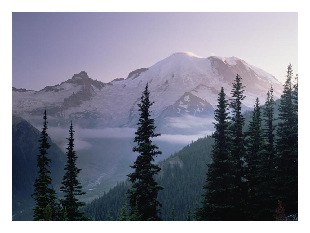 Mt Rainier as seen at sunrise, Mt Rainier National Park, Washington-Paper Art-26"x20"