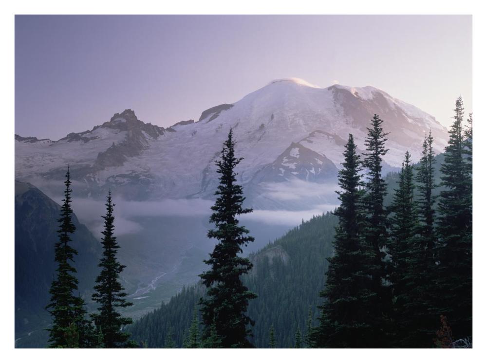 Mt Rainier as seen at sunrise, Mt Rainier National Park, Washington-Paper Art-34"x26"