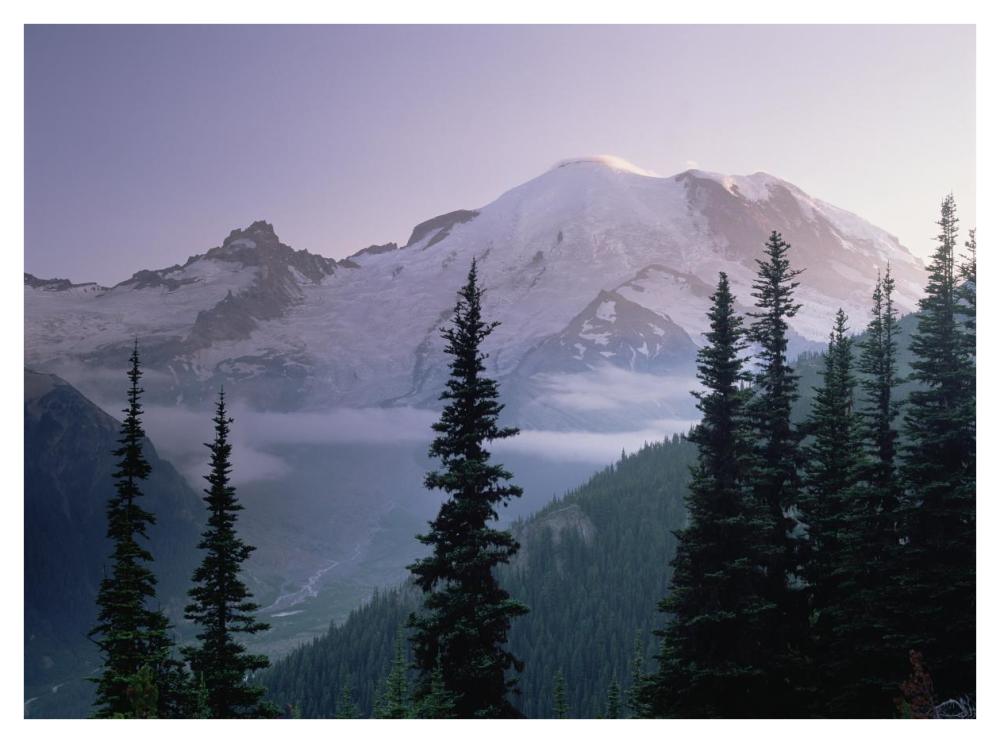 Mt Rainier as seen at sunrise, Mt Rainier National Park, Washington-Paper Art-42"x32"