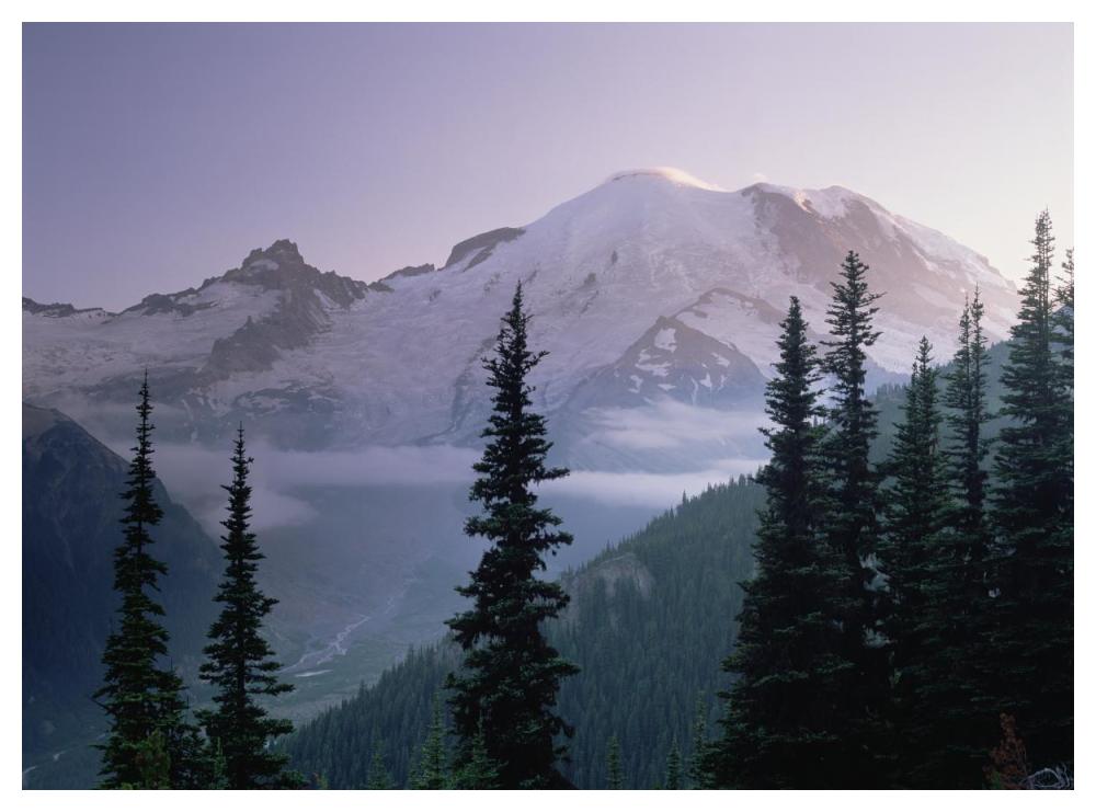 Mt Rainier as seen at sunrise, Mt Rainier National Park, Washington-Paper Art-50"x38"