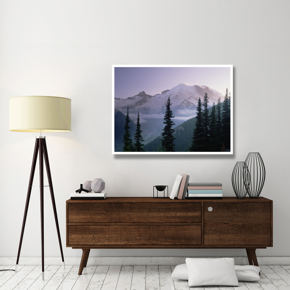 Mt Rainier as seen at sunrise, Mt Rainier National Park, Washington-Paper Art-50&quotx38"