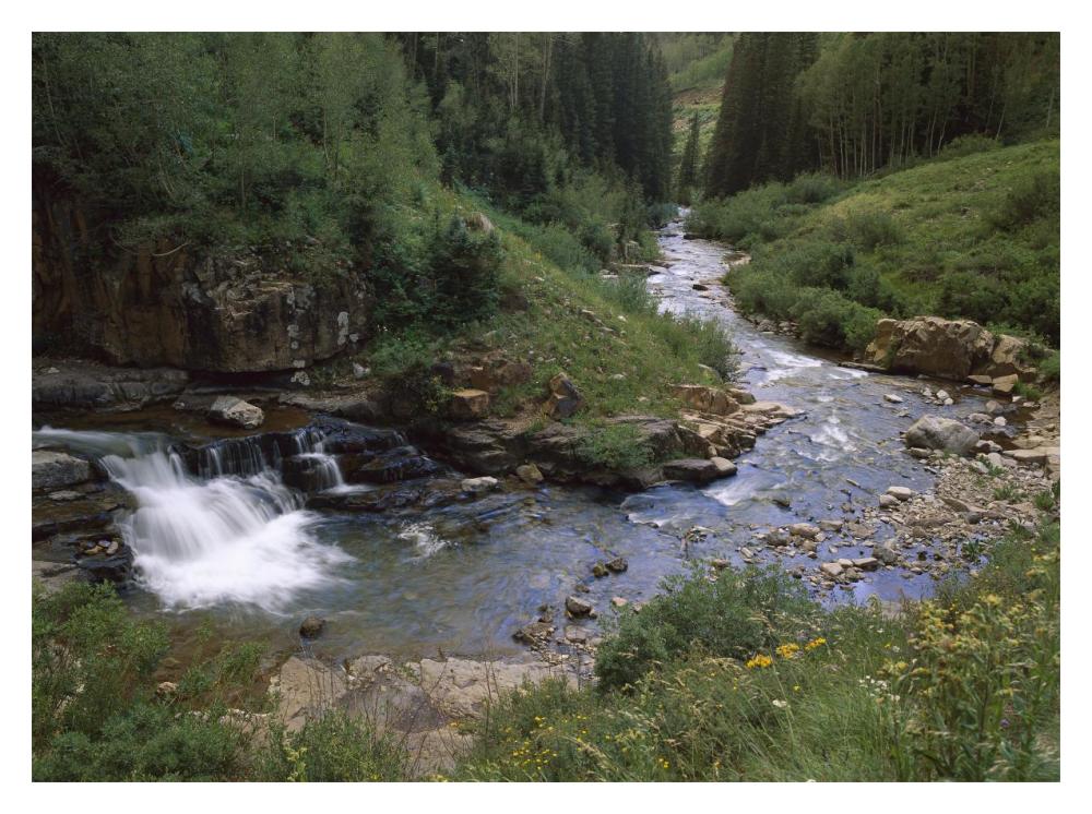 La Plata River, La Plata Canyon, San Juan National Forest, Colorado-Paper Art-18"x14"
