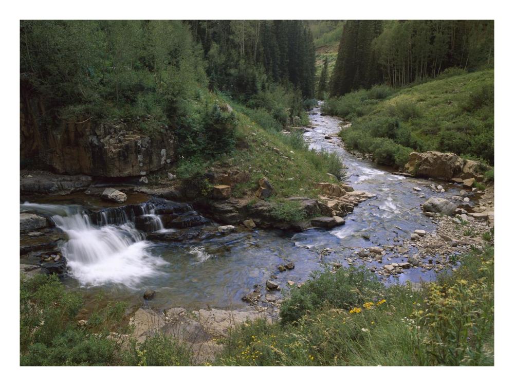 La Plata River, La Plata Canyon, San Juan National Forest, Colorado-Paper Art-26"x20"