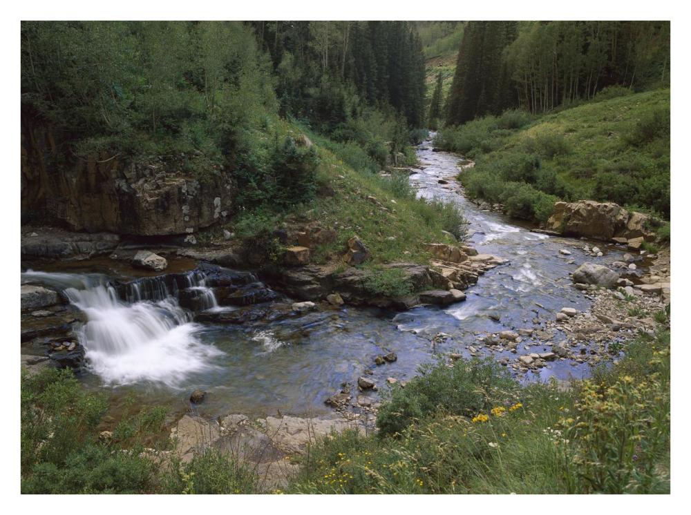 La Plata River, La Plata Canyon, San Juan National Forest, Colorado-Paper Art-34"x26"