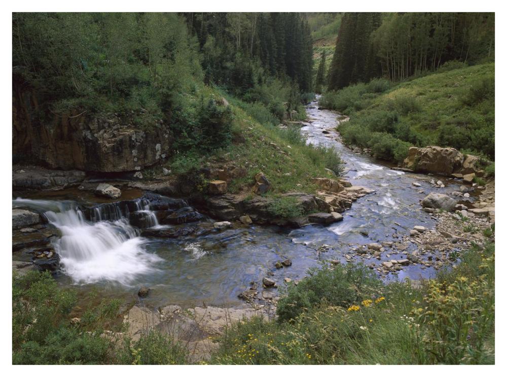 La Plata River, La Plata Canyon, San Juan National Forest, Colorado-Paper Art-42"x32"
