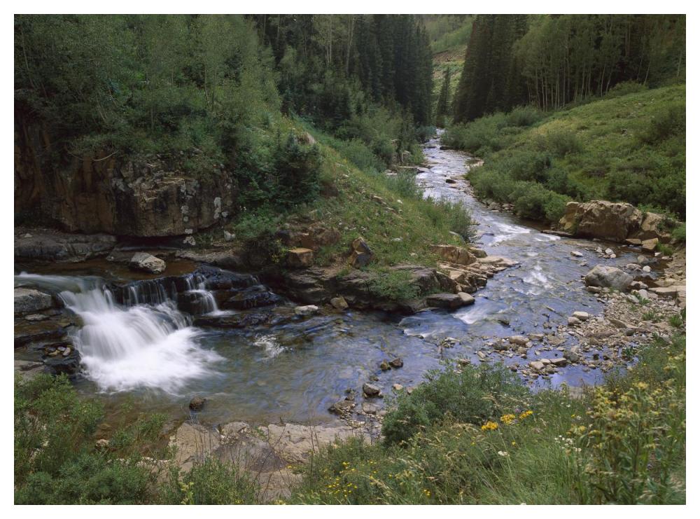 La Plata River, La Plata Canyon, San Juan National Forest, Colorado-Paper Art-50"x38"