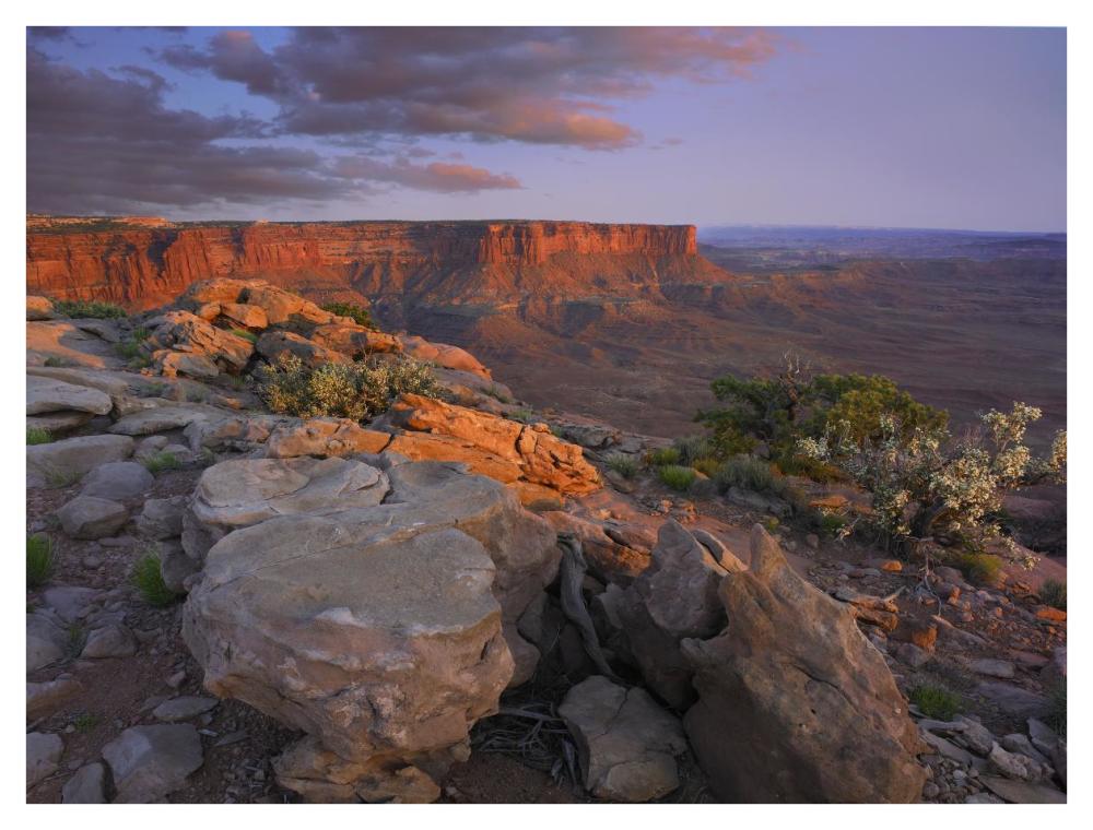 View from the Green River Overlook, Canyonlands National Park, Utah-Paper Art-42"x32"