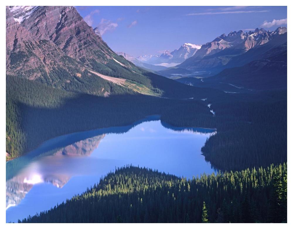 Mount Patterson at Peyto Lake, Banff National Park, Alberta, Canada-Paper Art-50"x38"