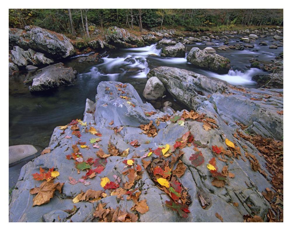 Little Pigeon River, Great Smoky Mountains National Park, Tennessee-Paper Art-34"x26"