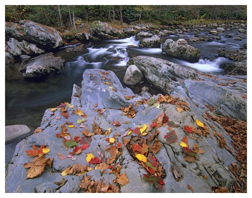 Little Pigeon River, Great Smoky Mountains National Park, Tennessee-Paper Art-50"x38"