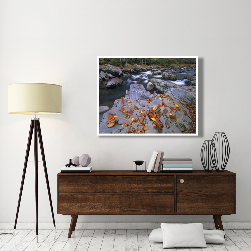 Little Pigeon River, Great Smoky Mountains National Park, Tennessee-Paper Art-50&quotx38"