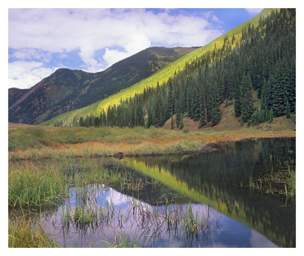 Pond and mountains, Maroon Bells-Snowmass Wilderness Area, Colorado-Paper Art-38"x31.88"