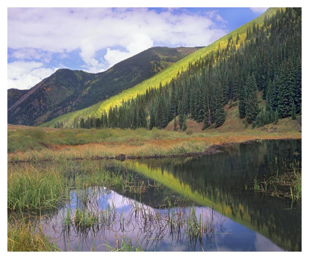 Pond and mountains, Maroon Bells-Snowmass Wilderness Area, Colorado-Paper Art-42"x35.2"