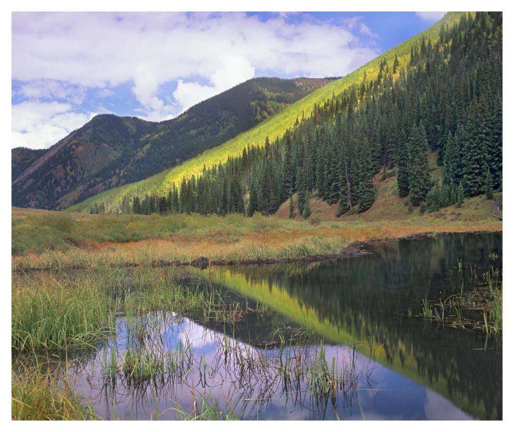 Pond and mountains, Maroon Bells-Snowmass Wilderness Area, Colorado-Paper Art-46"x38.52"