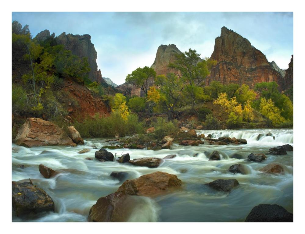 Court of the Patriarchs rising above river, Zion National Park, Utah-Paper Art-26"x20"