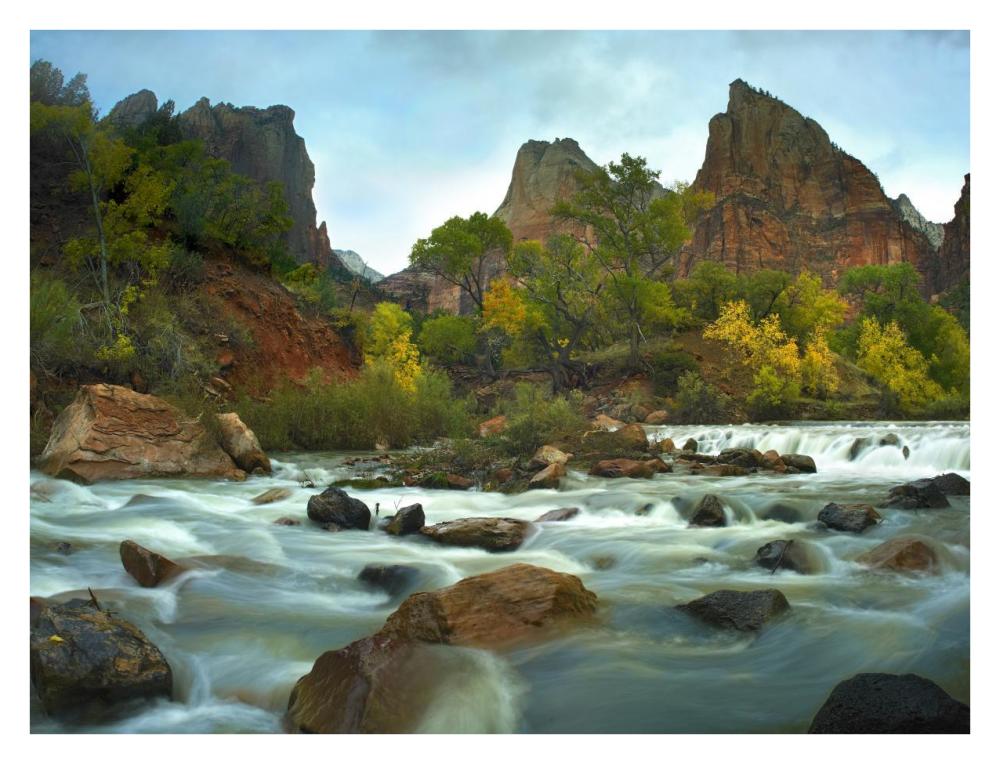 Court of the Patriarchs rising above river, Zion National Park, Utah-Paper Art-34"x26"