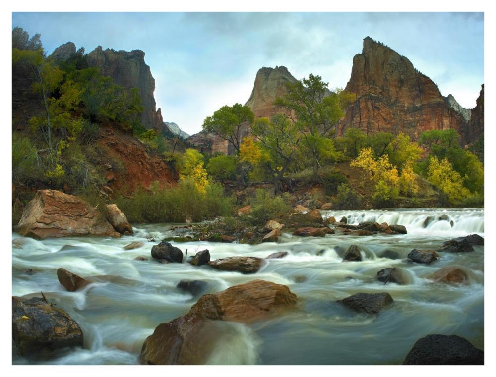 Court of the Patriarchs rising above river, Zion National Park, Utah-Paper Art-42"x32"