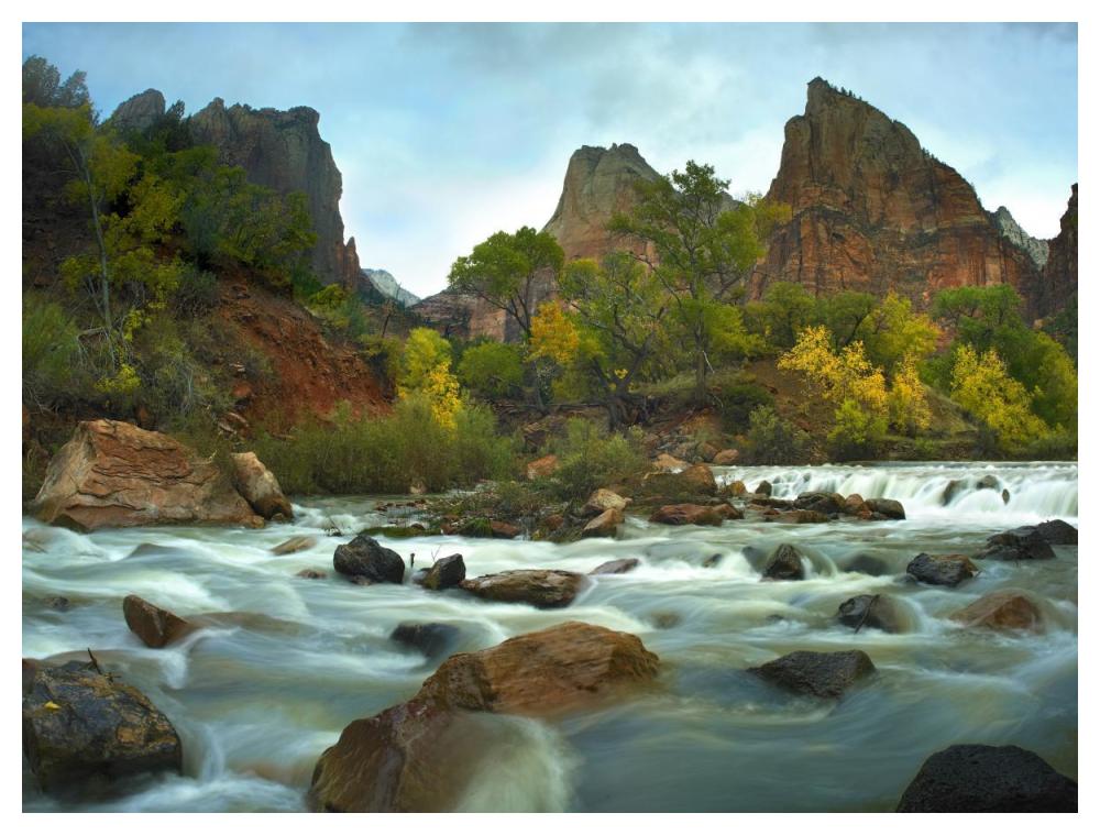 Court of the Patriarchs rising above river, Zion National Park, Utah-Paper Art-50"x38"