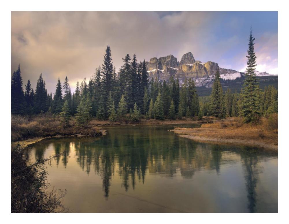 Castle Mountain and boreal forest reflected in lake, Alberta, Canada-Paper Art-26"x20"
