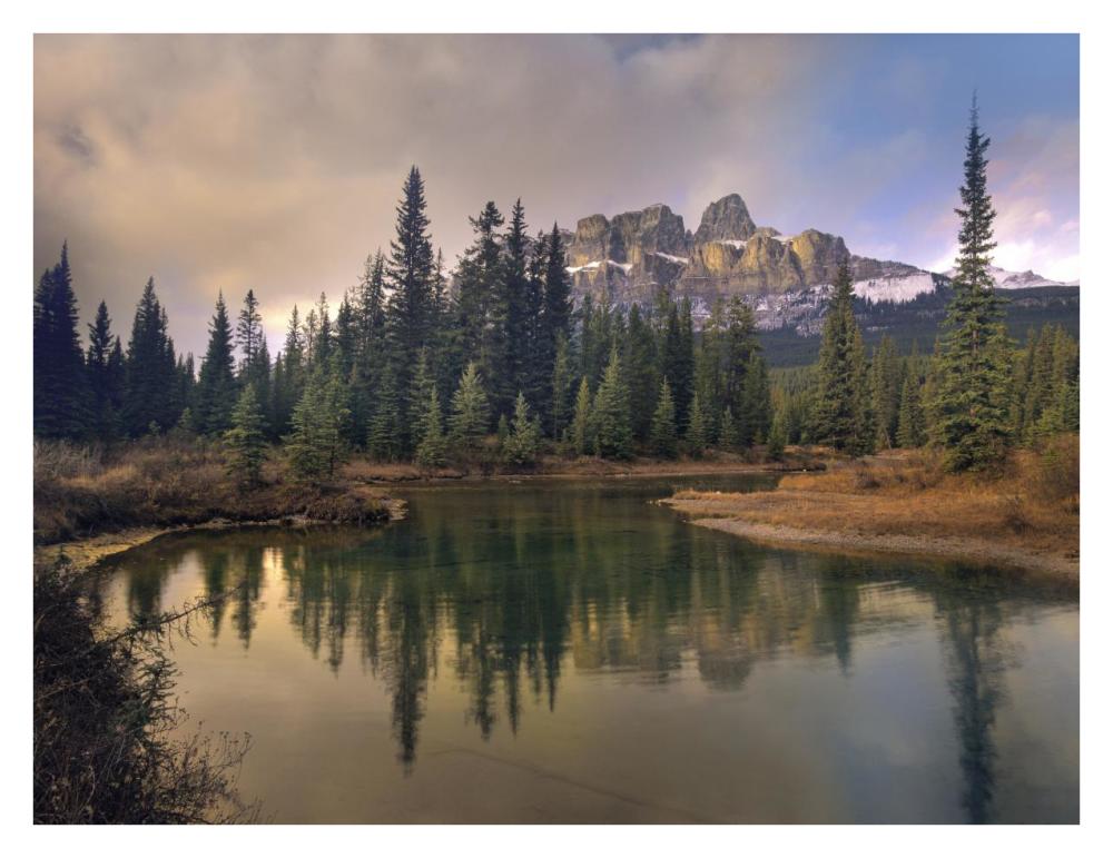 Castle Mountain and boreal forest reflected in lake, Alberta, Canada-Paper Art-34"x26"