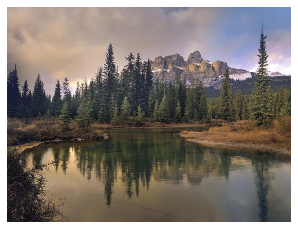 Castle Mountain and boreal forest reflected in lake, Alberta, Canada-Paper Art-42"x32"