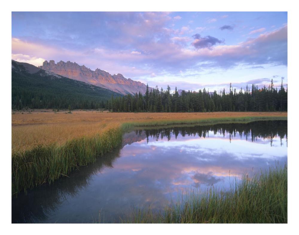 Dolomite Peak and Bow River backwaters, Banff National Park, Alberta-Paper Art-26"x20"