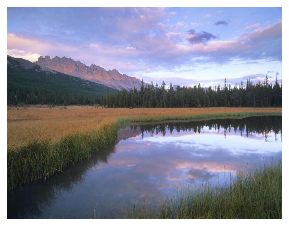 Dolomite Peak and Bow River backwaters, Banff National Park, Alberta-Paper Art-42"x32"