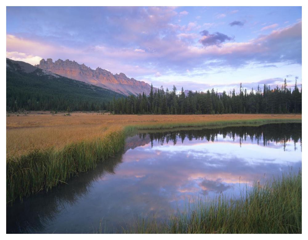 Dolomite Peak and Bow River backwaters, Banff National Park, Alberta-Paper Art-50"x38"