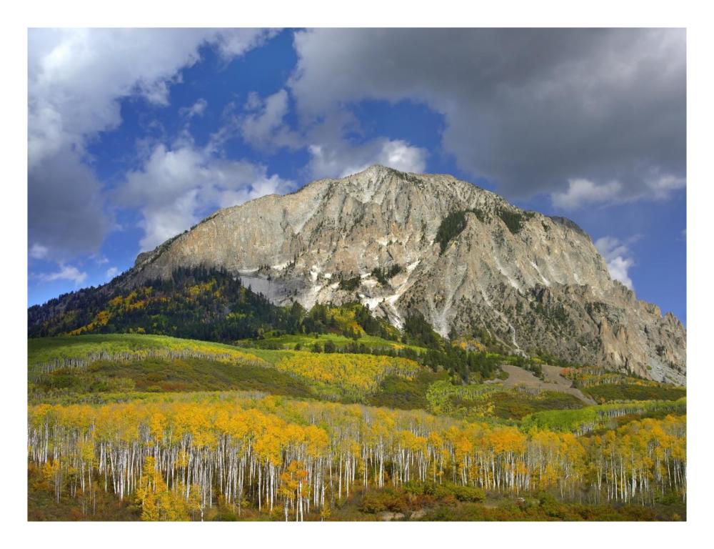 Marcellina Mountain and aspen forest in Raggeds Wilderness, Colorado-Paper Art-26"x20"