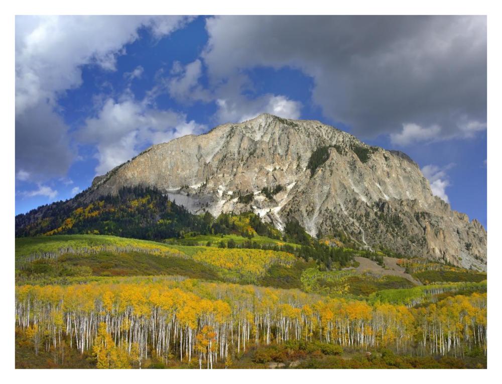 Marcellina Mountain and aspen forest in Raggeds Wilderness, Colorado-Paper Art-34"x26"