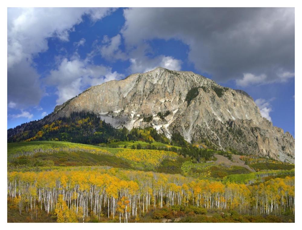 Marcellina Mountain and aspen forest in Raggeds Wilderness, Colorado-Paper Art-42"x32"