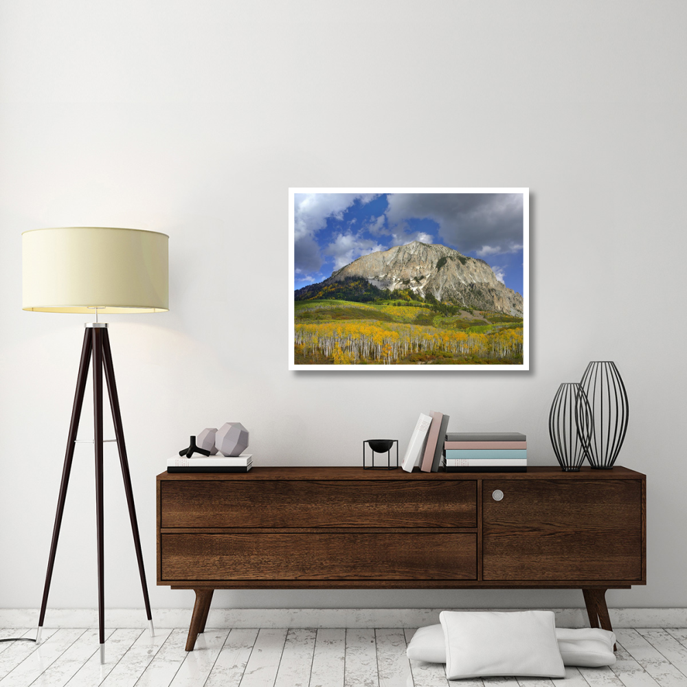 Marcellina Mountain and aspen forest in Raggeds Wilderness, Colorado-Paper Art-42&quotx32"