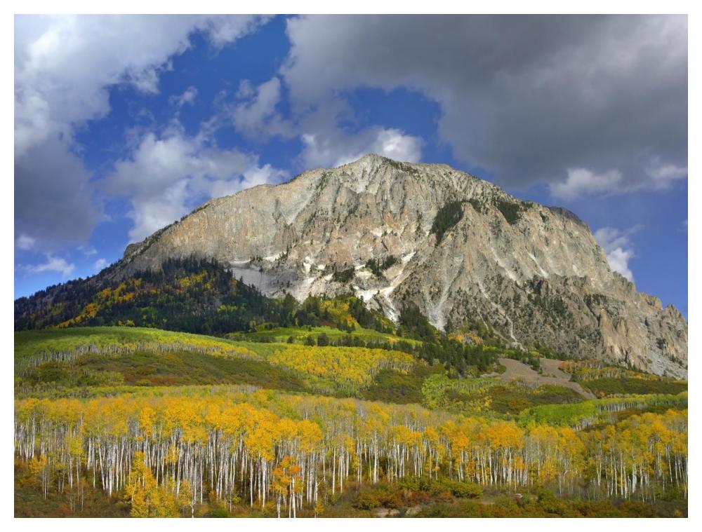 Marcellina Mountain and aspen forest in Raggeds Wilderness, Colorado-Paper Art-50"x38"