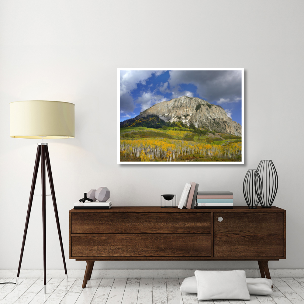 Marcellina Mountain and aspen forest in Raggeds Wilderness, Colorado-Paper Art-50&quotx38"