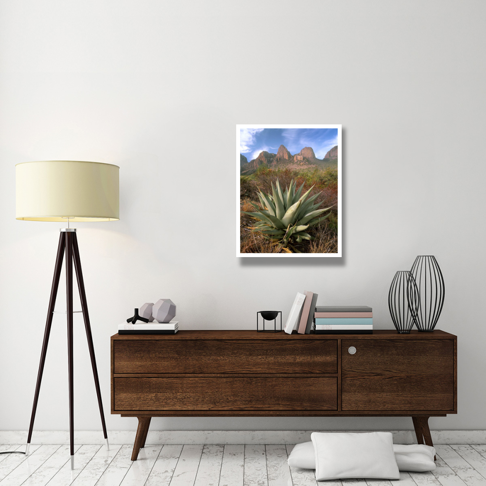 Chisos Agave and the Chisos Mountains, Big Bend National Park, Texas-Paper Art-26&quotx34"