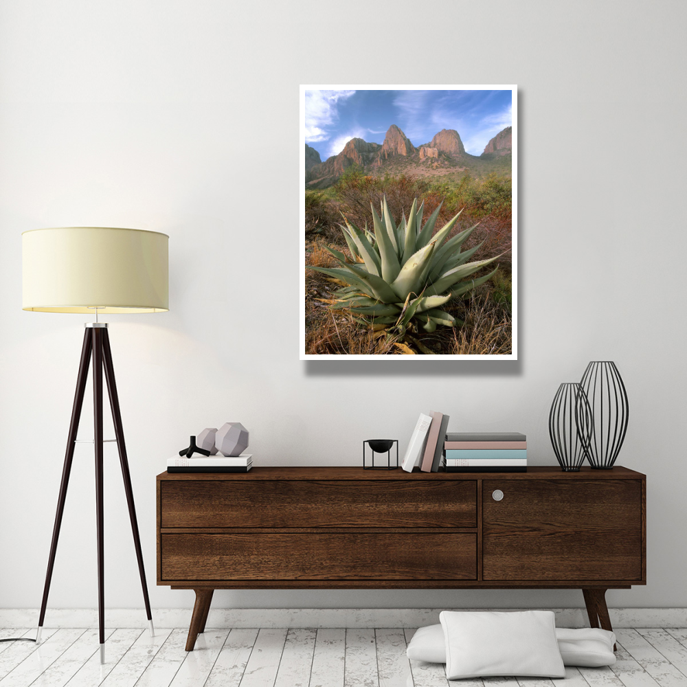 Chisos Agave and the Chisos Mountains, Big Bend National Park, Texas-Paper Art-38&quotx50"