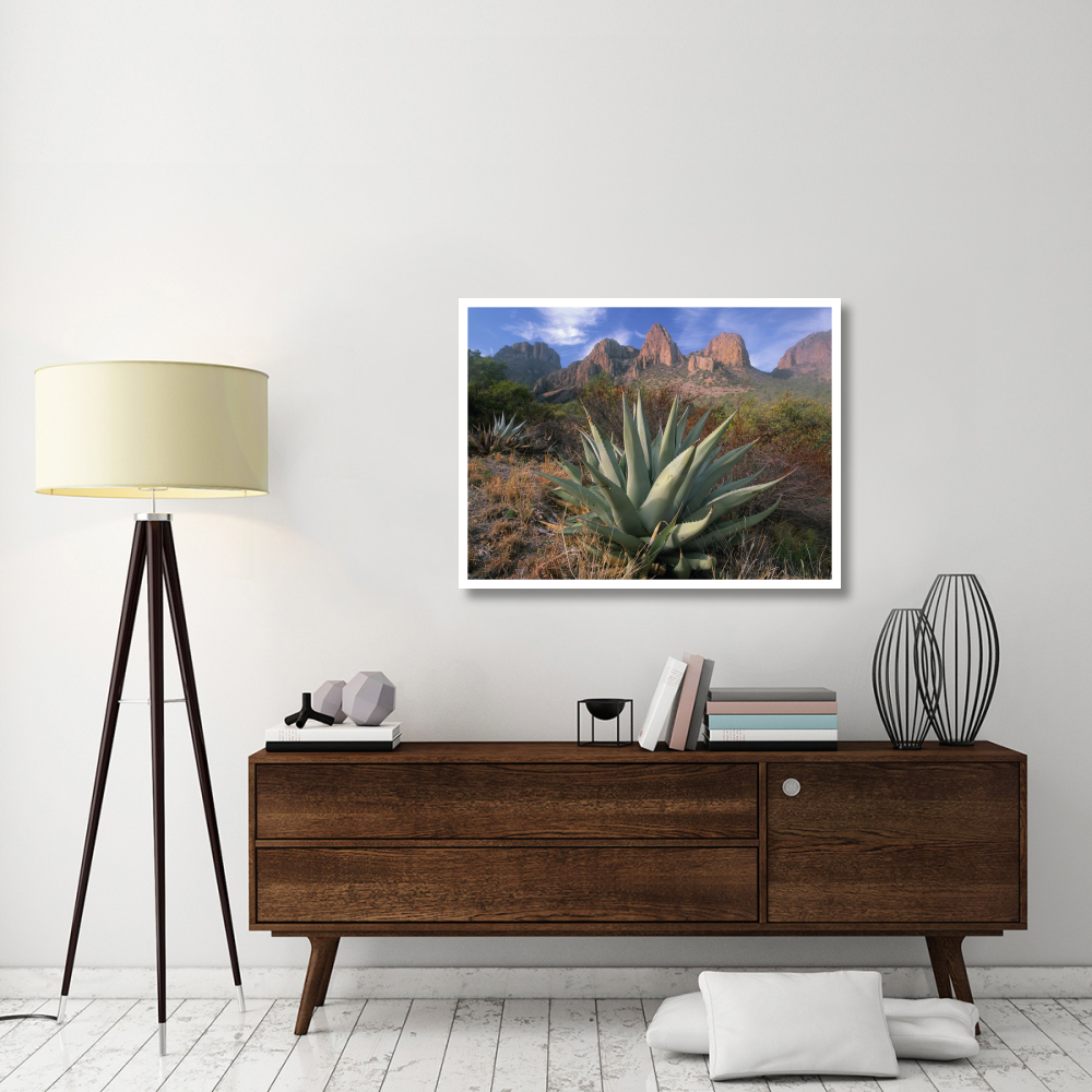 Chisos Agave and the Chisos Mountains, Big Bend National Park, Texas-Paper Art-42&quotx32"