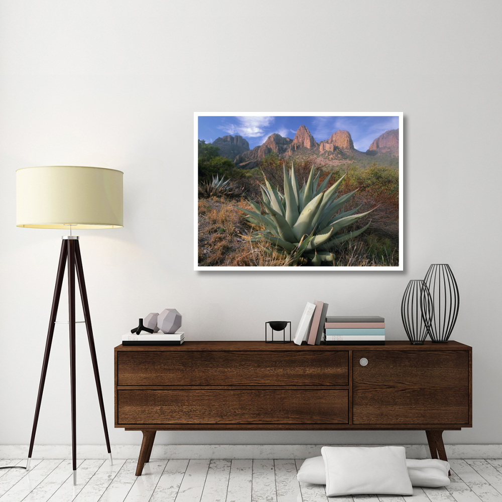 Chisos Agave and the Chisos Mountains, Big Bend National Park, Texas-Paper Art-50&quotx38"