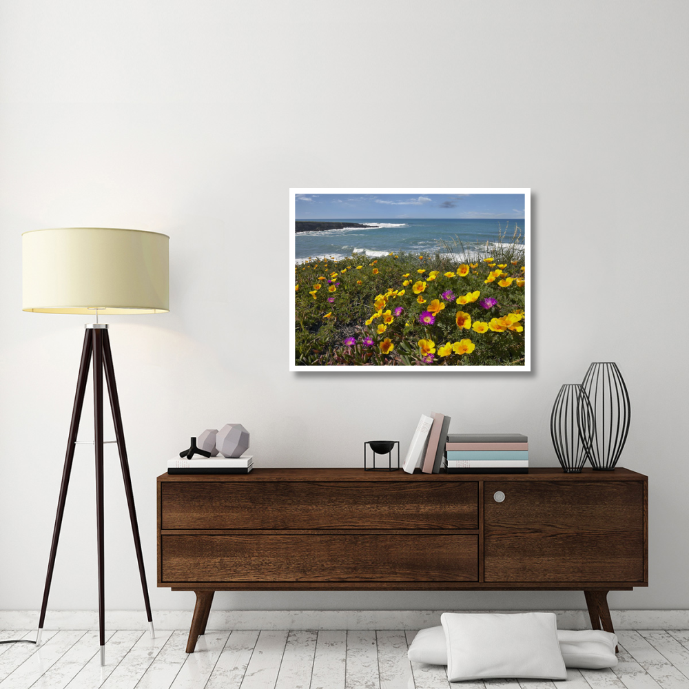 California Poppy and Iceplant, Montano de Oro State Park, California-Paper Art-42&quotx32"