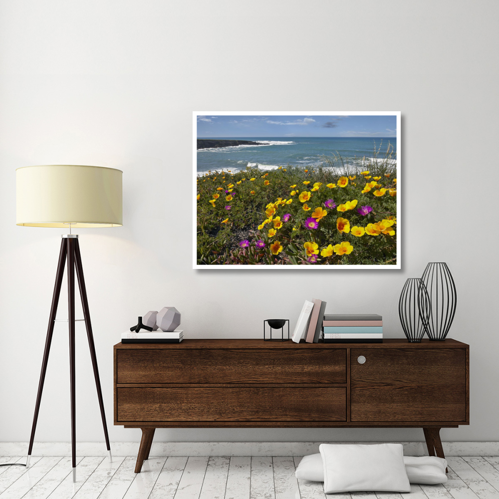 California Poppy and Iceplant, Montano de Oro State Park, California-Paper Art-50&quotx38"
