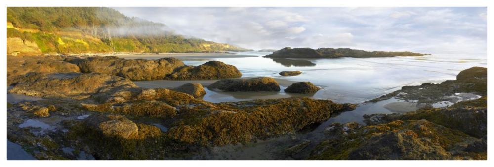 Panorama of Neptune Beach with exposed tide pools at low tide, Oregon-Paper Art-74"x26"