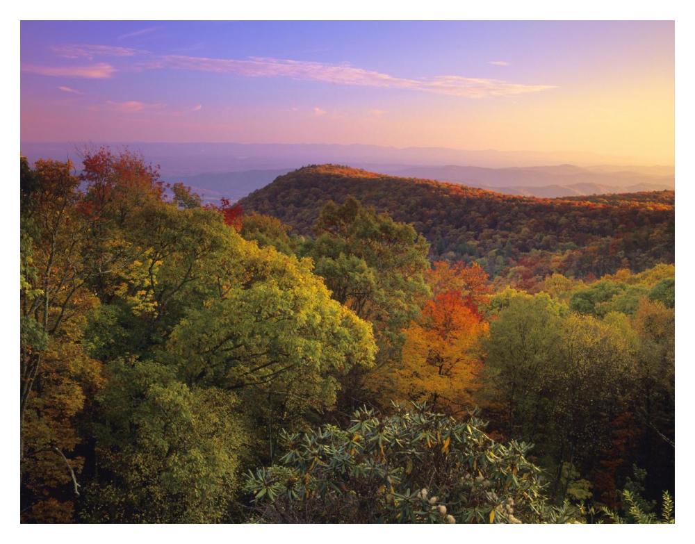 Blue Ridge Mountains with deciduous forests in autumn, North Carolina-Paper Art-18"x14"