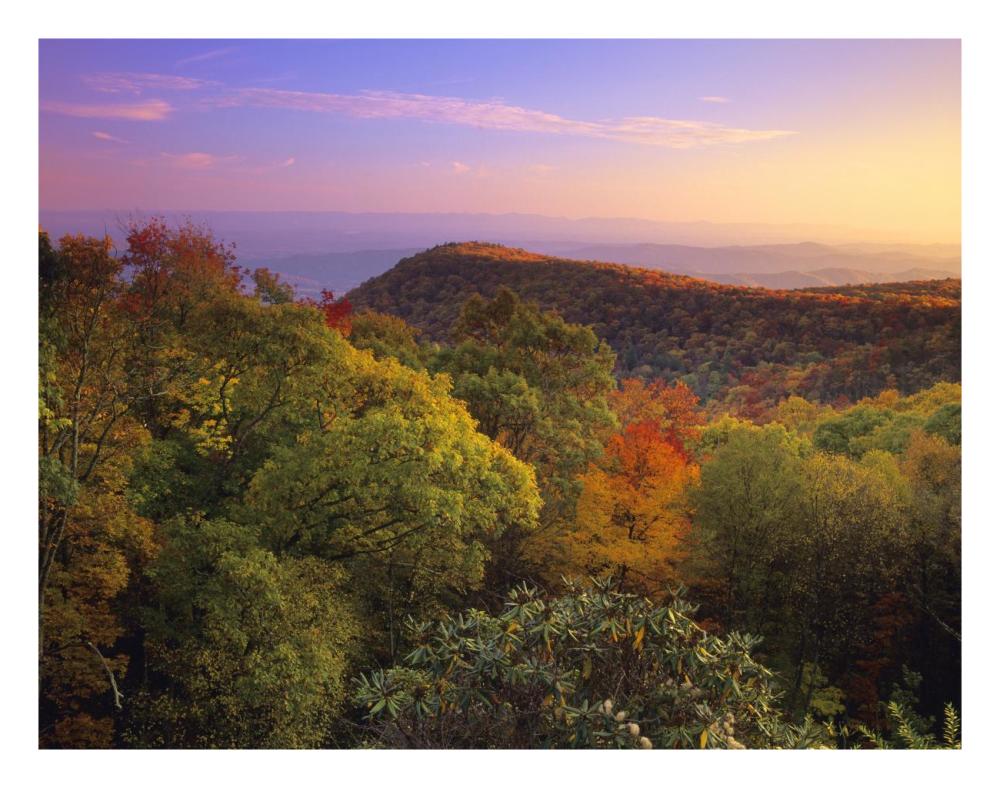 Blue Ridge Mountains with deciduous forests in autumn, North Carolina-Paper Art-26"x20"