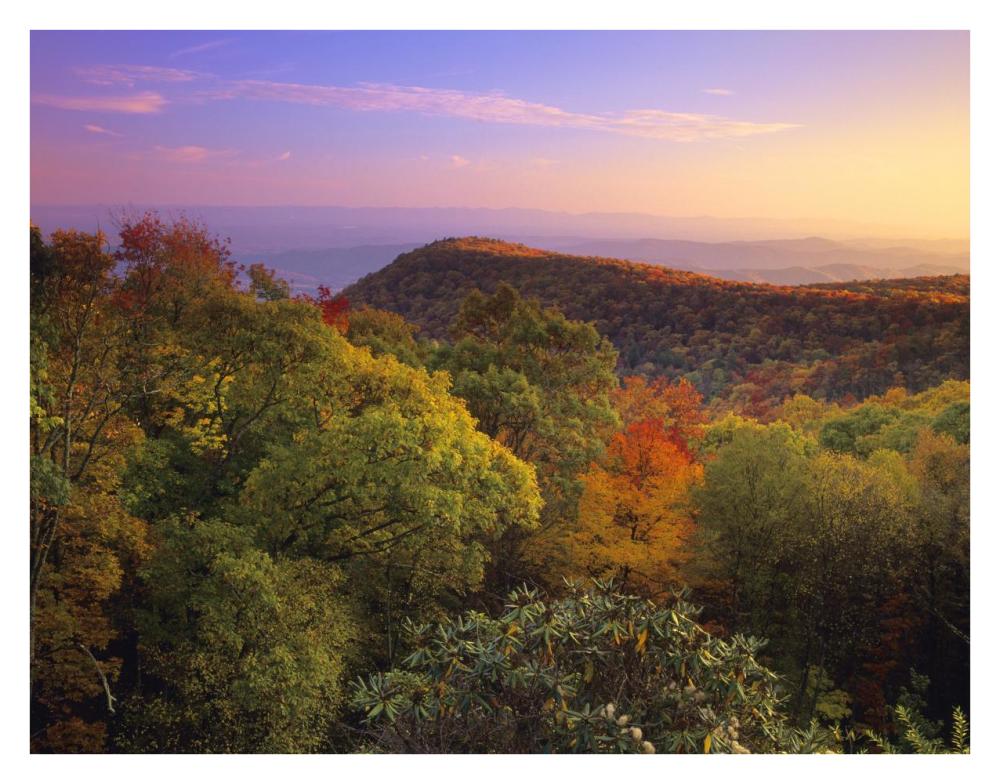 Blue Ridge Mountains with deciduous forests in autumn, North Carolina-Paper Art-34"x26"